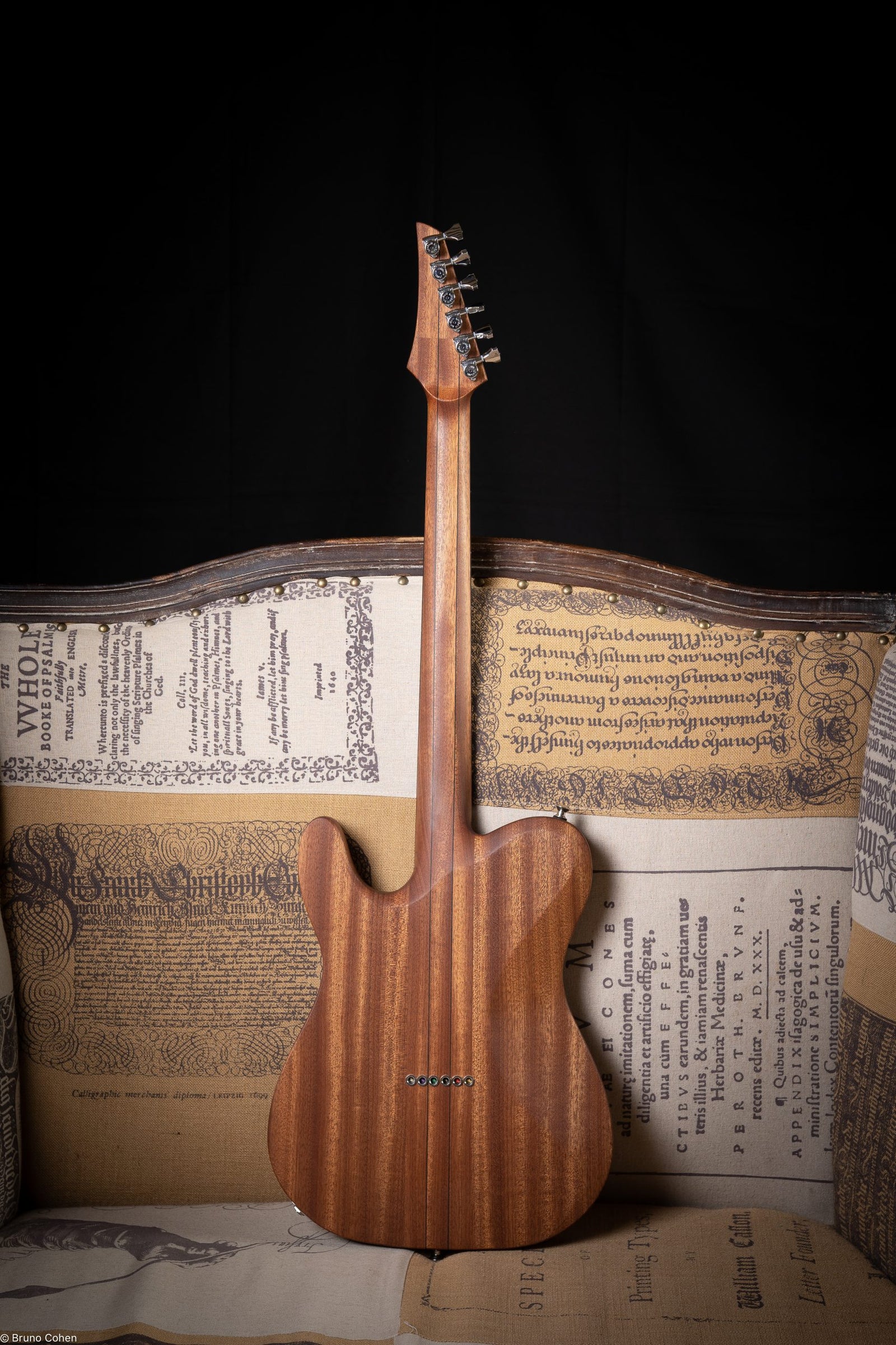 Details d'une guitare SY à manche traversant de la marque de lutherie française De Leeuw Guitars. Guitare Made in France - Guitar Made in France