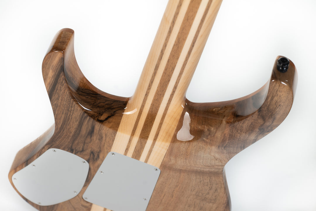 MS6 Maple Walnut 2023 - Midnight Blue