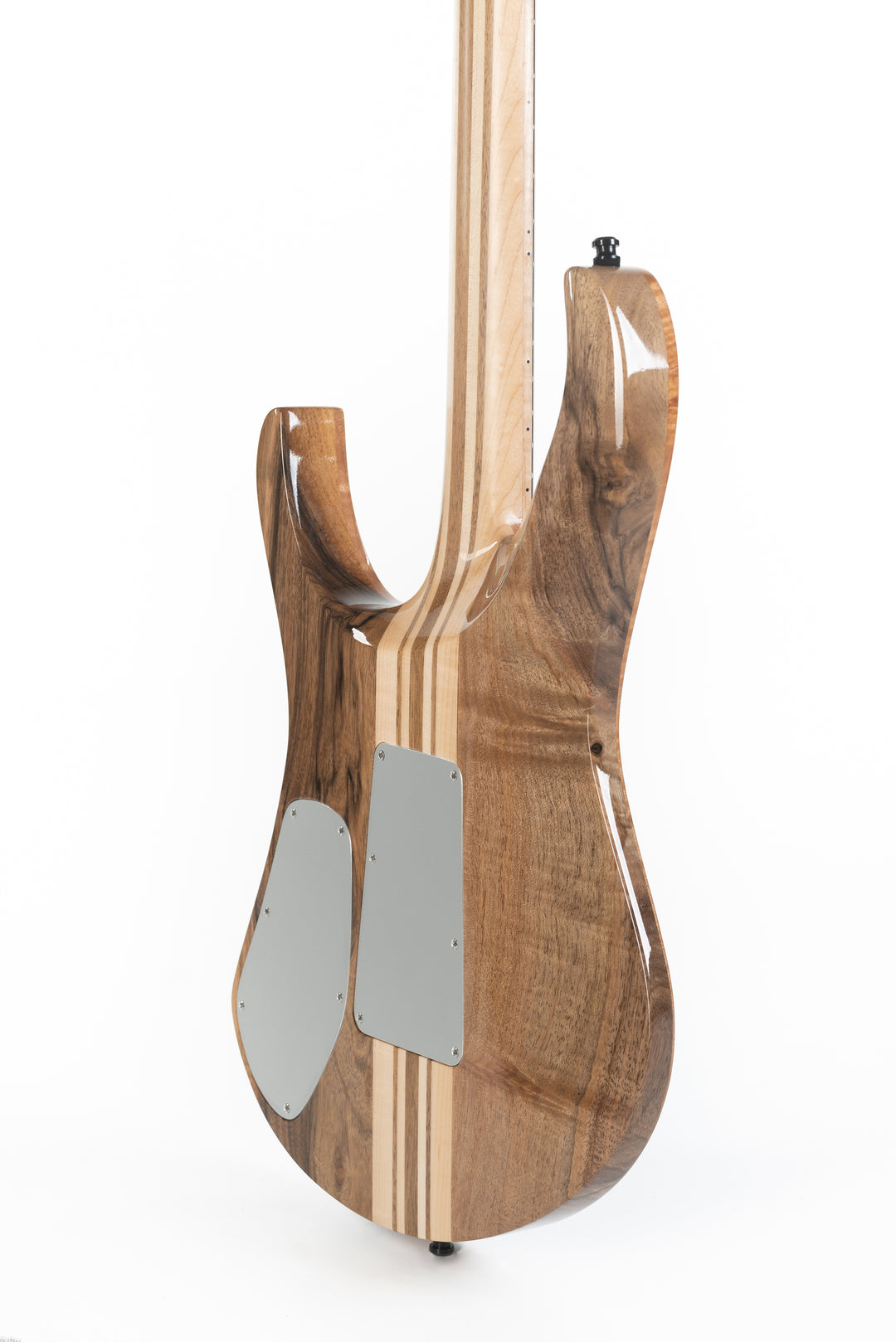 MS6 Maple Walnut 2023 - Midnight Blue