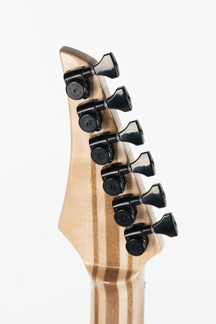 MS6 Maple Walnut 2023 - Midnight Blue