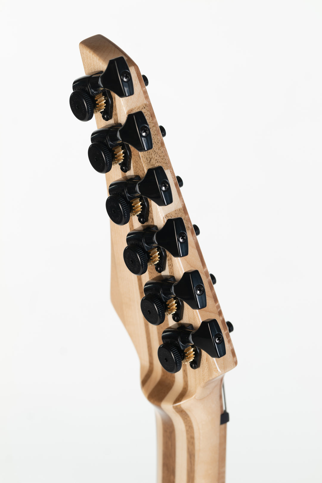 MS6 Maple Walnut 2023 - Midnight Blue