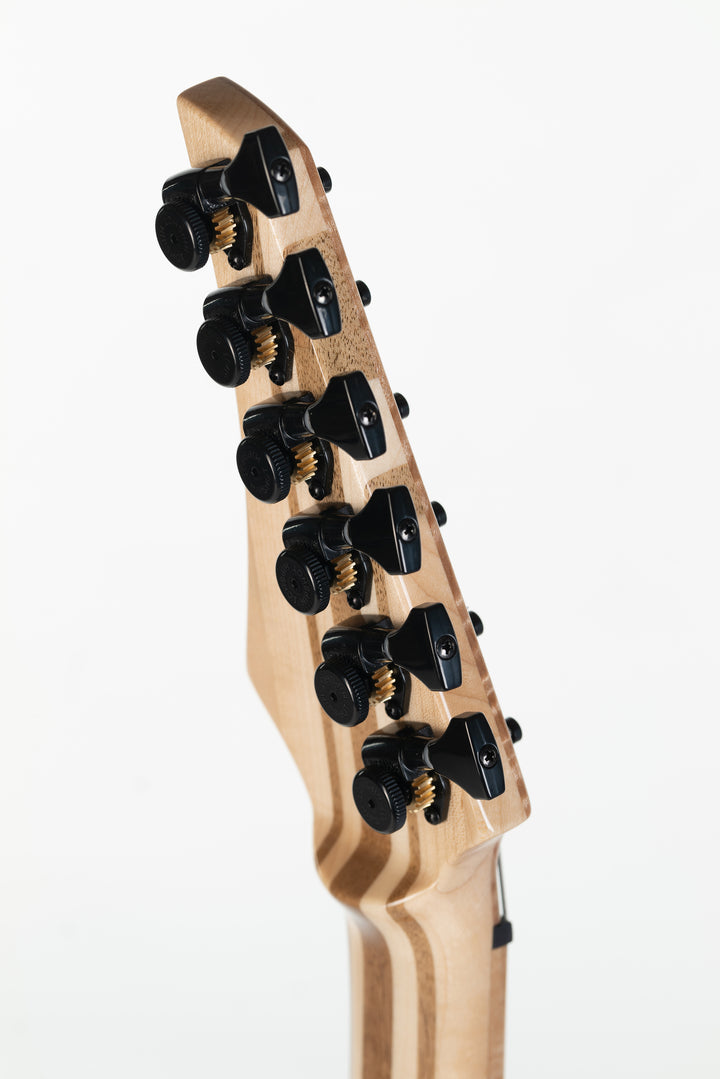 MS6 Maple Walnut 2023 - Midnight Blue