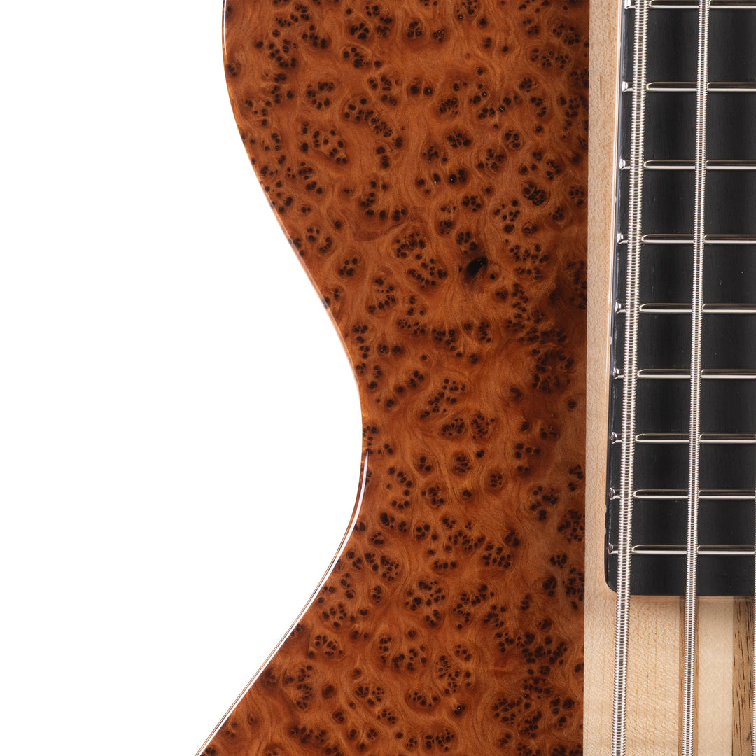 SC5 - Cedar Burl Natural