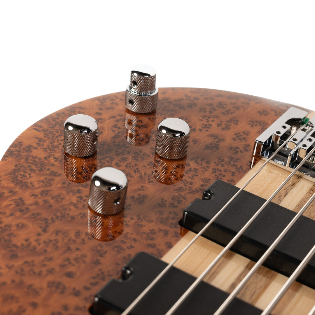 SC5 - Cedar Burl Natural