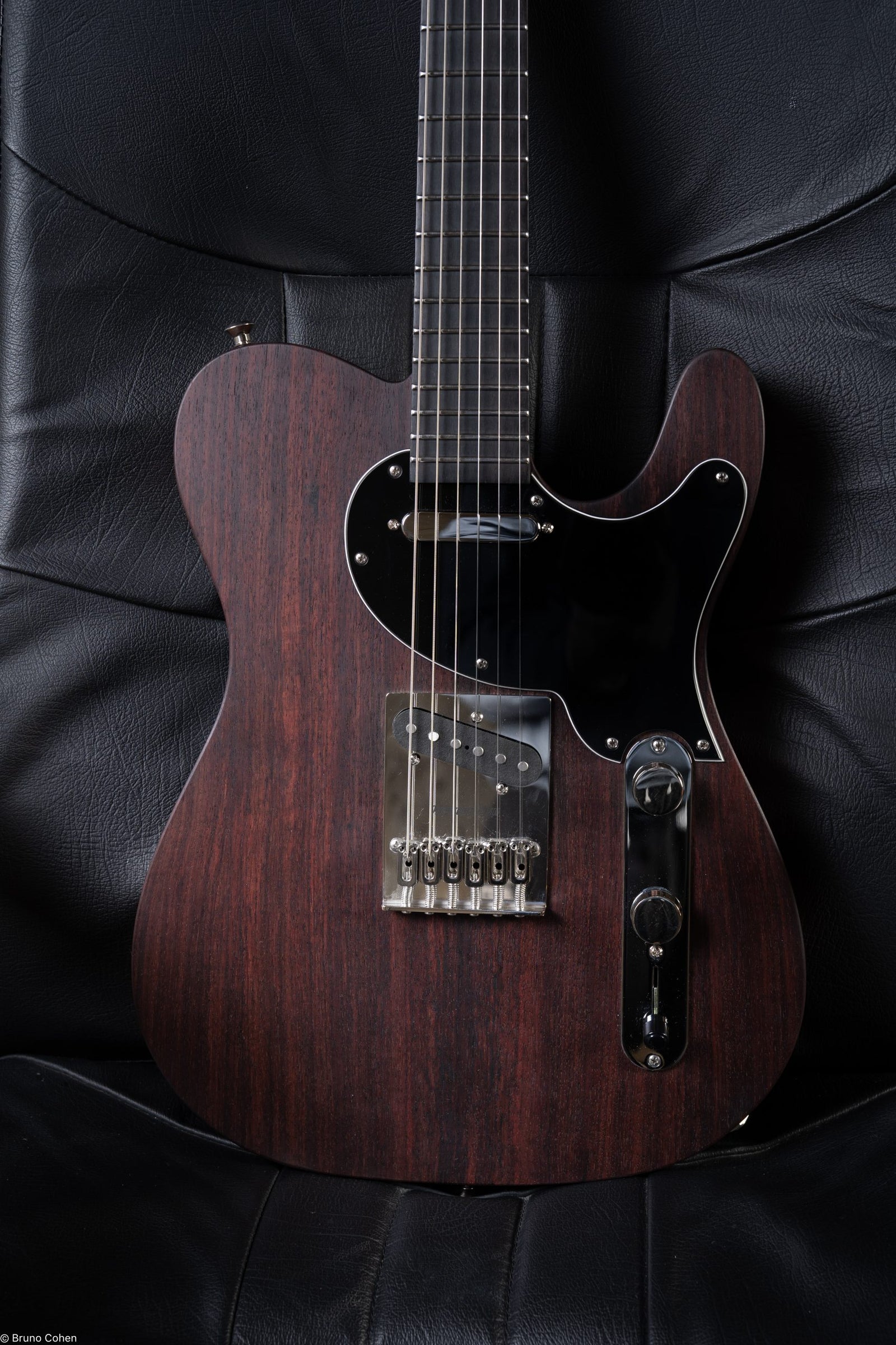 Details d'une guitare SY à manche traversant de la marque de lutherie française De Leeuw Guitars. Guitare Made in France - Guitar Made in France