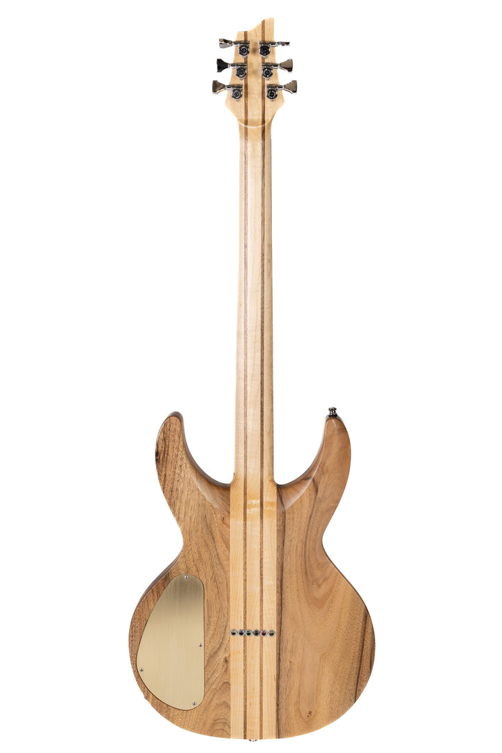 MV Maple/Walnut 2023 - Golden Phoebe - Unique piece