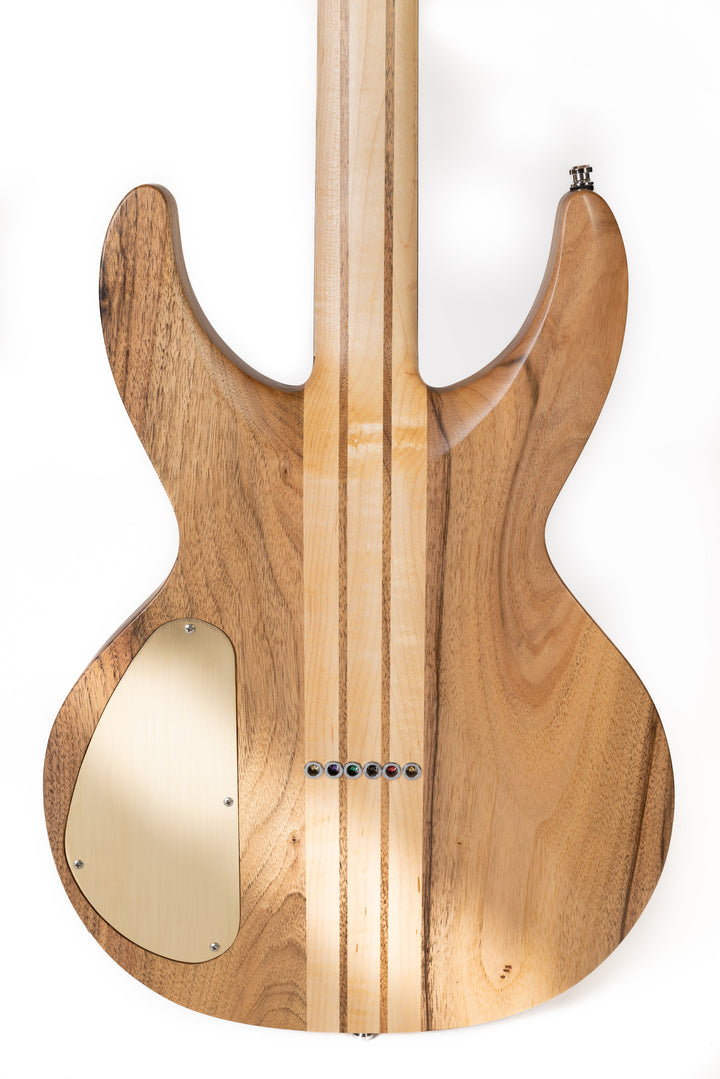 MV Maple/Walnut 2023 - Golden Phoebe - Unique piece