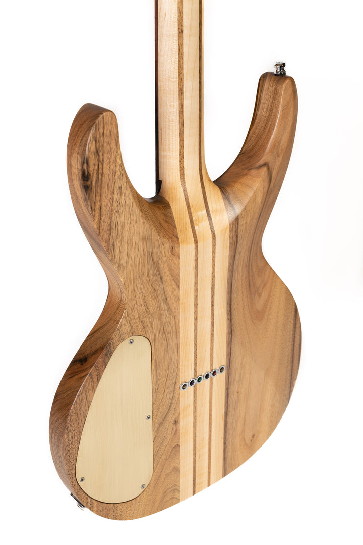 MV Maple/Walnut 2023 - Golden Phoebe - Unique piece