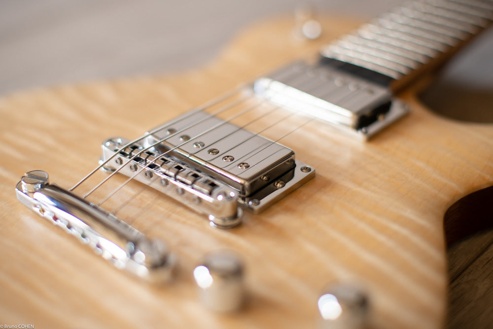 Détails de la TC Custom ClockWork Natural - Pièce Unique  et sur mesure- Guitare à manche traversant de la marque de lutherie française De Leeuw Guitars. Guitare Made in France - Guitar Made in France